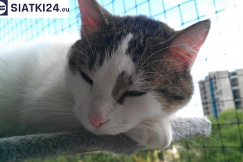 Siatki Wałcz - Siatka na balkony dla kota i zabezpieczenie dzieci dla terenów Wałcza